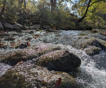 Blue River Campsites