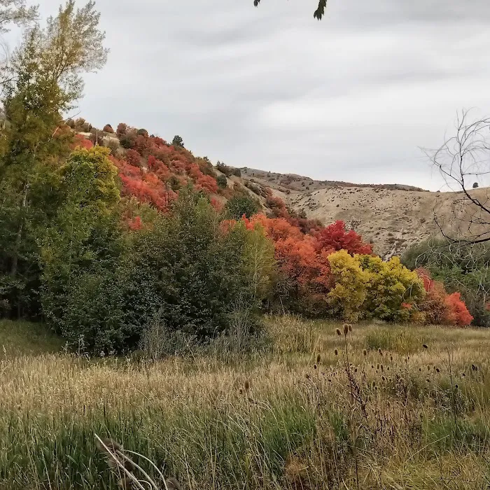 Box Elder Campground Picture 8