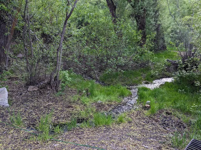 Box Elder Campground Picture 9