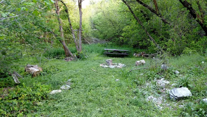 Shady Acres - private campground Picture 8