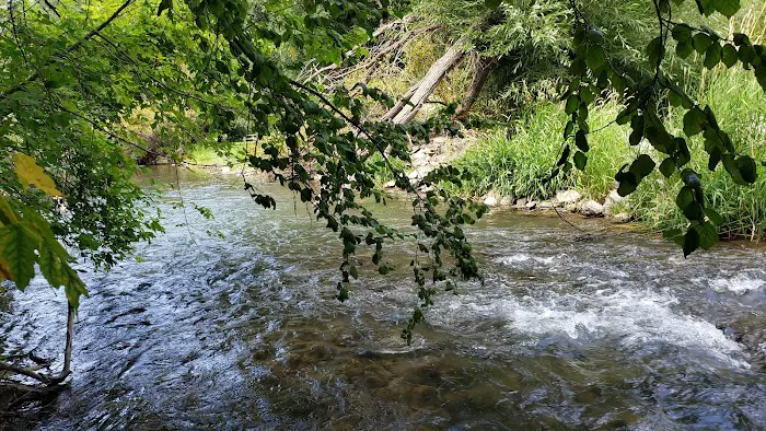 Pioneer Campground Picture 2
