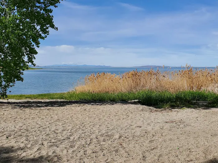 Cottonwood Campground Picture 4