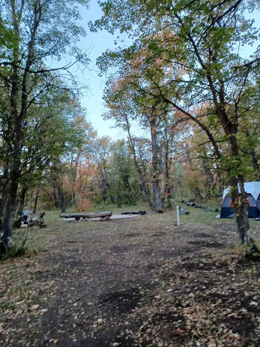 Camp Cumorah Picture 6