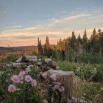 Red Spur Recreation Camp