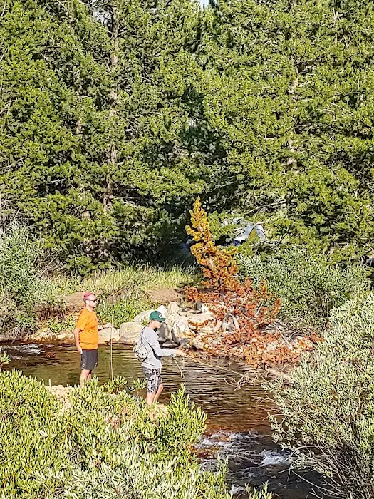 Sweetwater Guard Station Campground Picture 5
