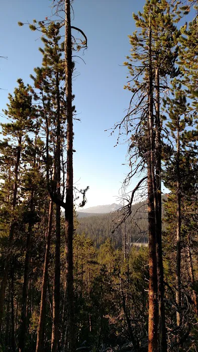 Dickinson Creek Campground Picture 4