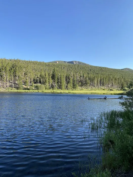 Worthen Meadow Reservoir Campground Picture 3