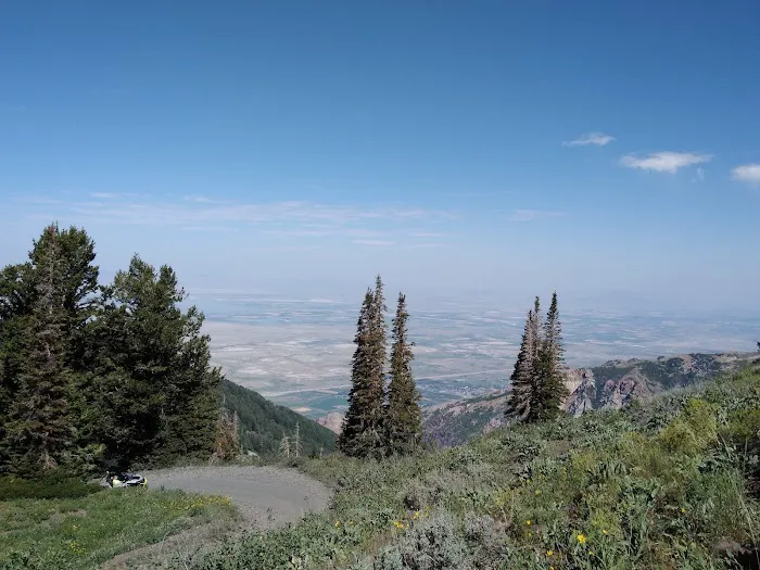 Willard Basin Campground Picture 3