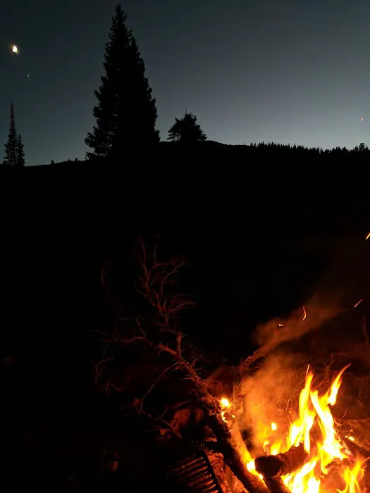 Willard Basin Campground Picture 8