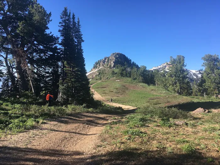 Willard Basin Campground Picture 7