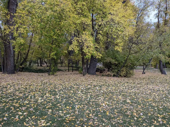 Camp Liberty Picture 1