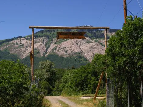 Camp Liberty Picture 9