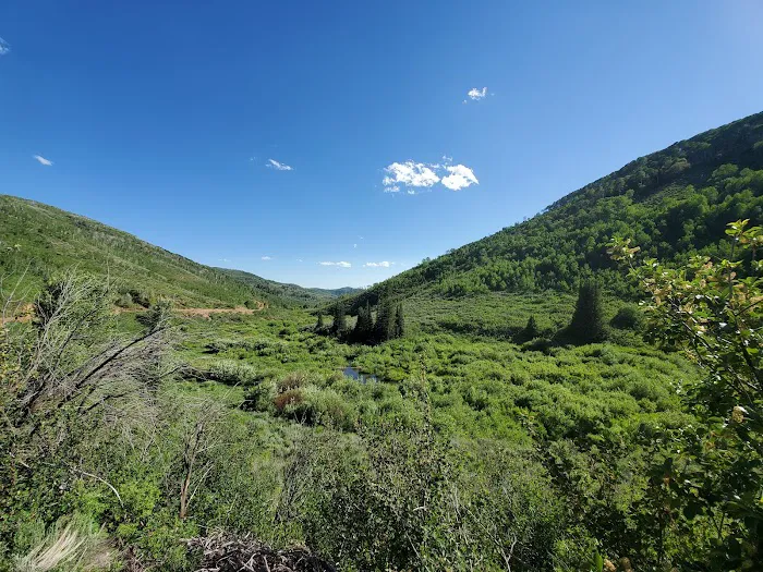 Sunridge Highlands Picture 4