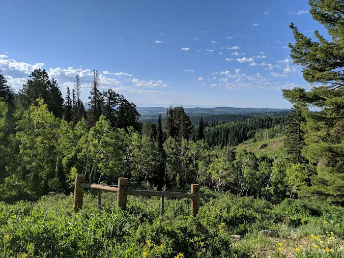 Monte Cristo Campground Picture 3