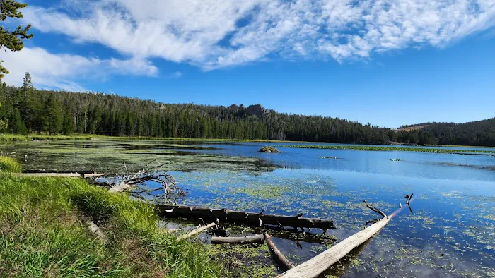 Fiddlers Lake Campground Picture 2