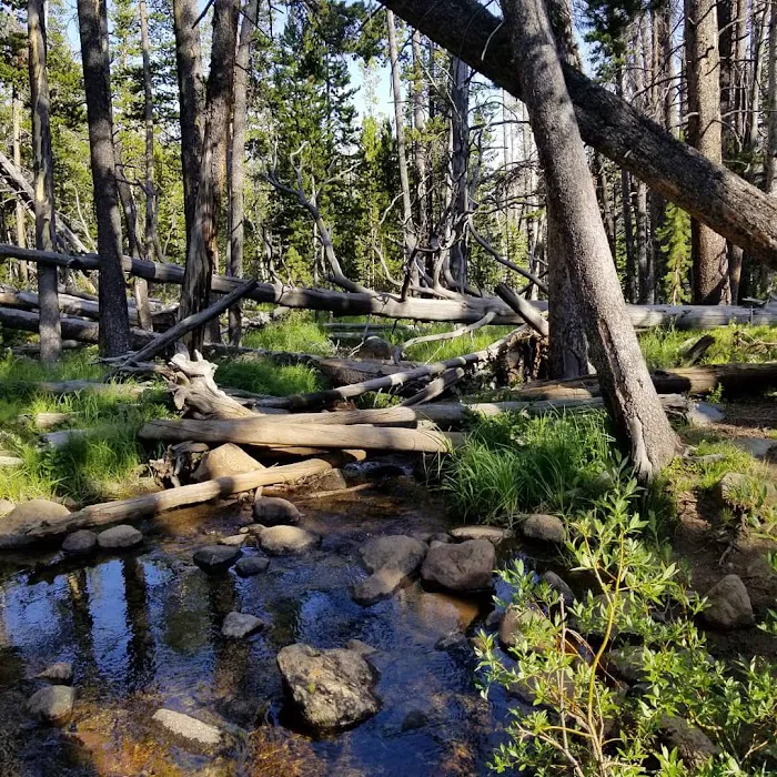 Fiddlers Lake Campground Picture 5