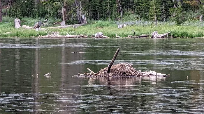 Fiddlers Lake Campground Picture 7