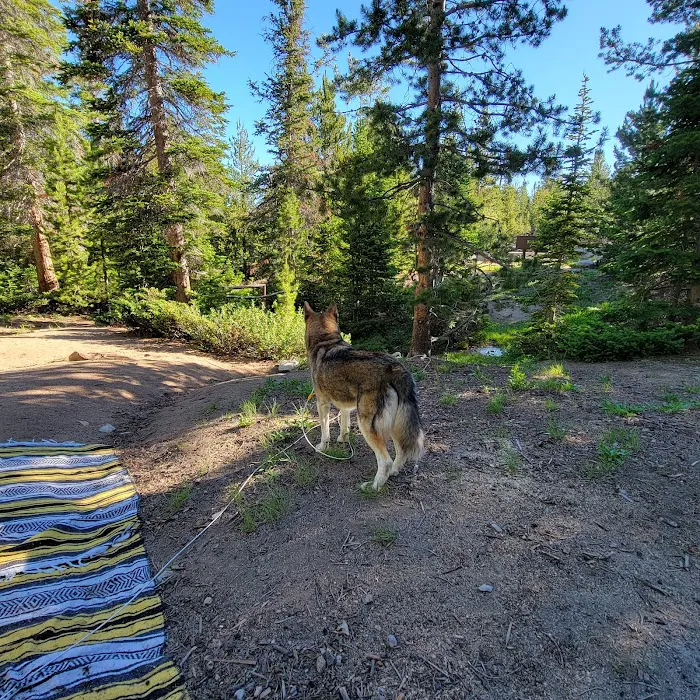 Louis Lake Campground Picture 2