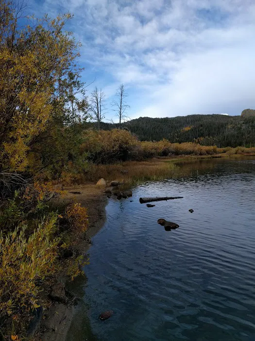 Louis Lake Campground Picture 5