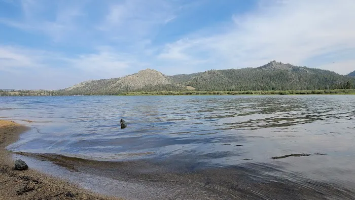 Louis Lake Campground Picture 8