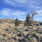 2 Campsites on BLM
