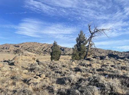 2 Campsites on BLM