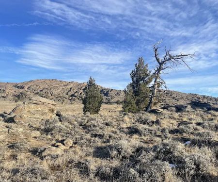 2 Campsites on BLM