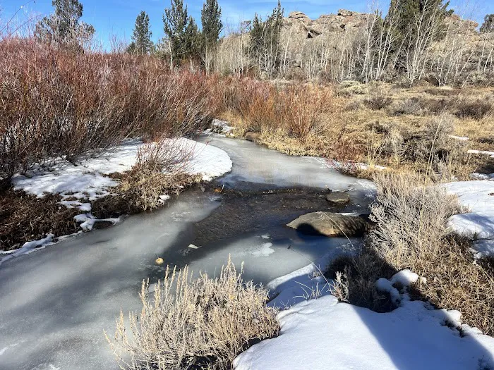 2 Campsites on BLM Picture 4