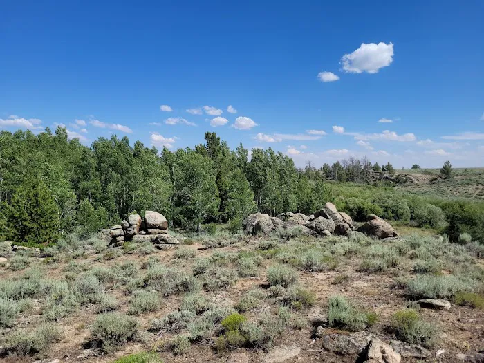 2 Campsites on BLM Picture 10