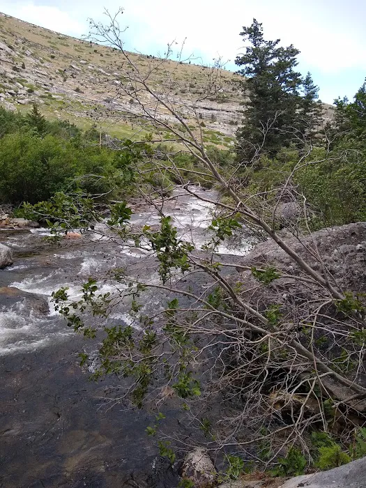 Sawmill Campground Picture 3