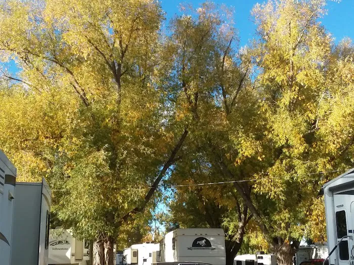 Maverick RV Park and Campground Picture 5