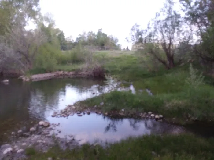 Maverick RV Park and Campground Picture 8