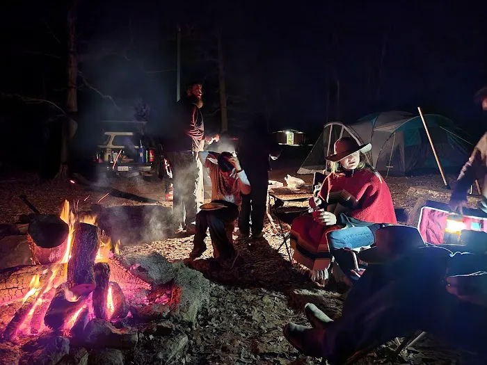 Fox Campsite Picture 1