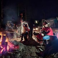 Fox Campsite ico