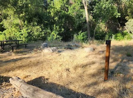 Prevedel Park Campsite #8
