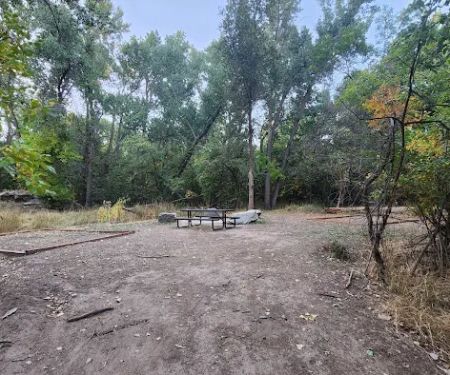 Prevedel Park Campsite #7