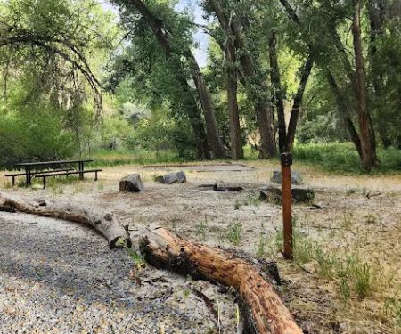 Prevedel Park Campsite #3