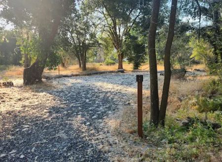 Prevedel Park Campsite #2