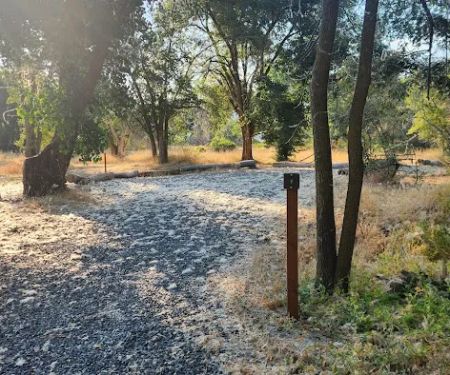 Prevedel Park Campsite #2