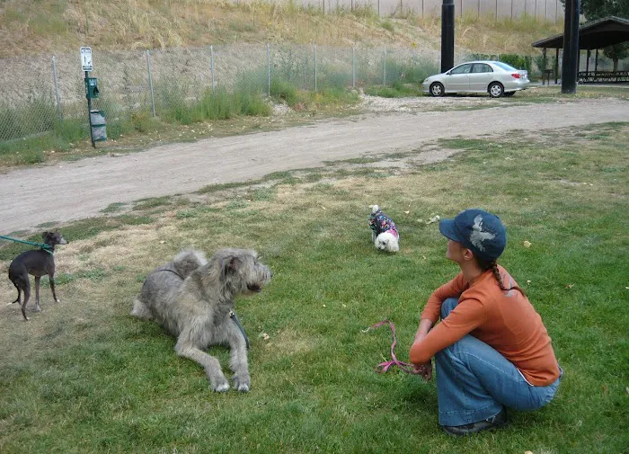 Century Campground Picture 7