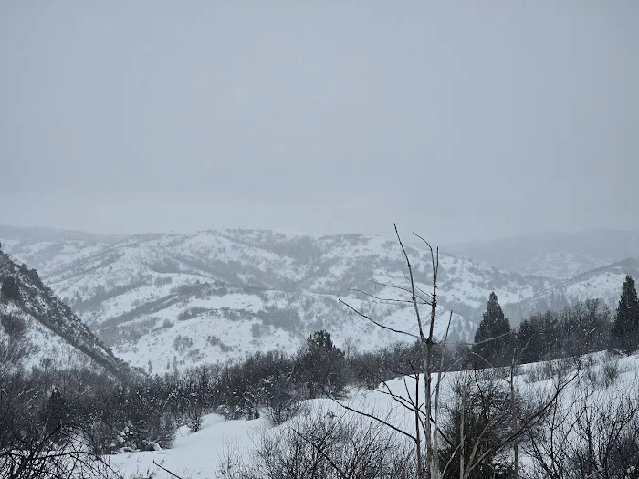 Cobble Creek Camp Picture 8
