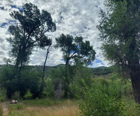 Willows Campground