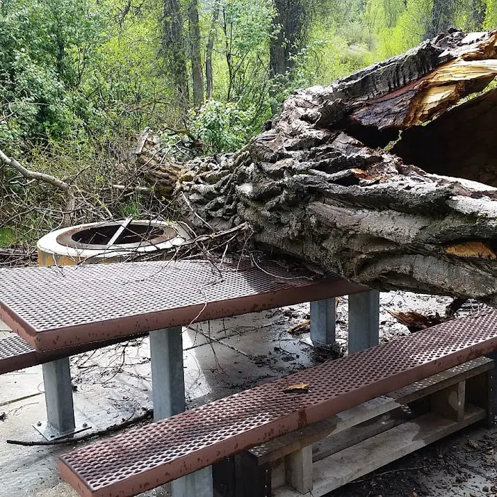 Willows Campground Picture 2