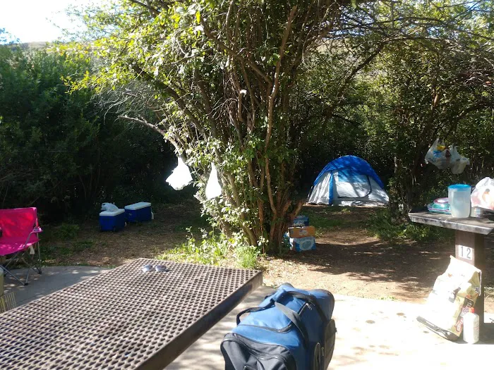 Willows Campground Picture 5