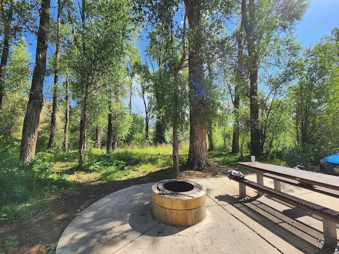 Willows Campground Picture 6