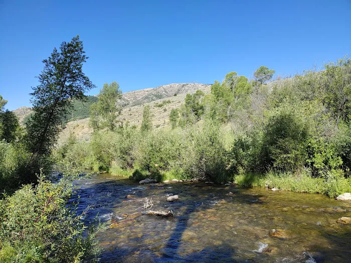 Lower Meadows Campground Picture 1