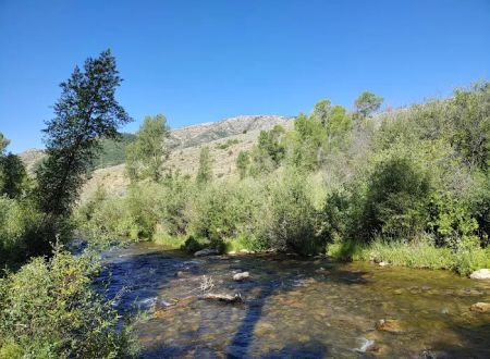 Lower Meadows Campground