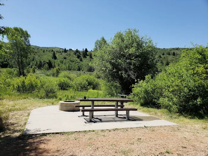 Lower Meadows Campground Picture 2