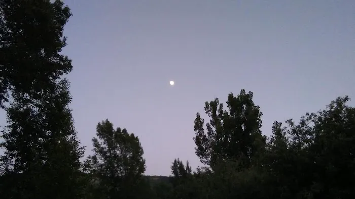 Lower Meadows Campground Picture 4