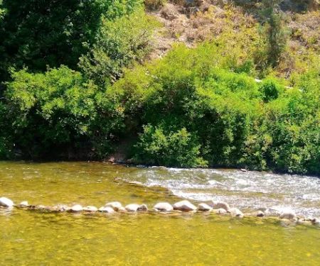 Botts Campground